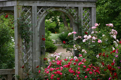 rose garden