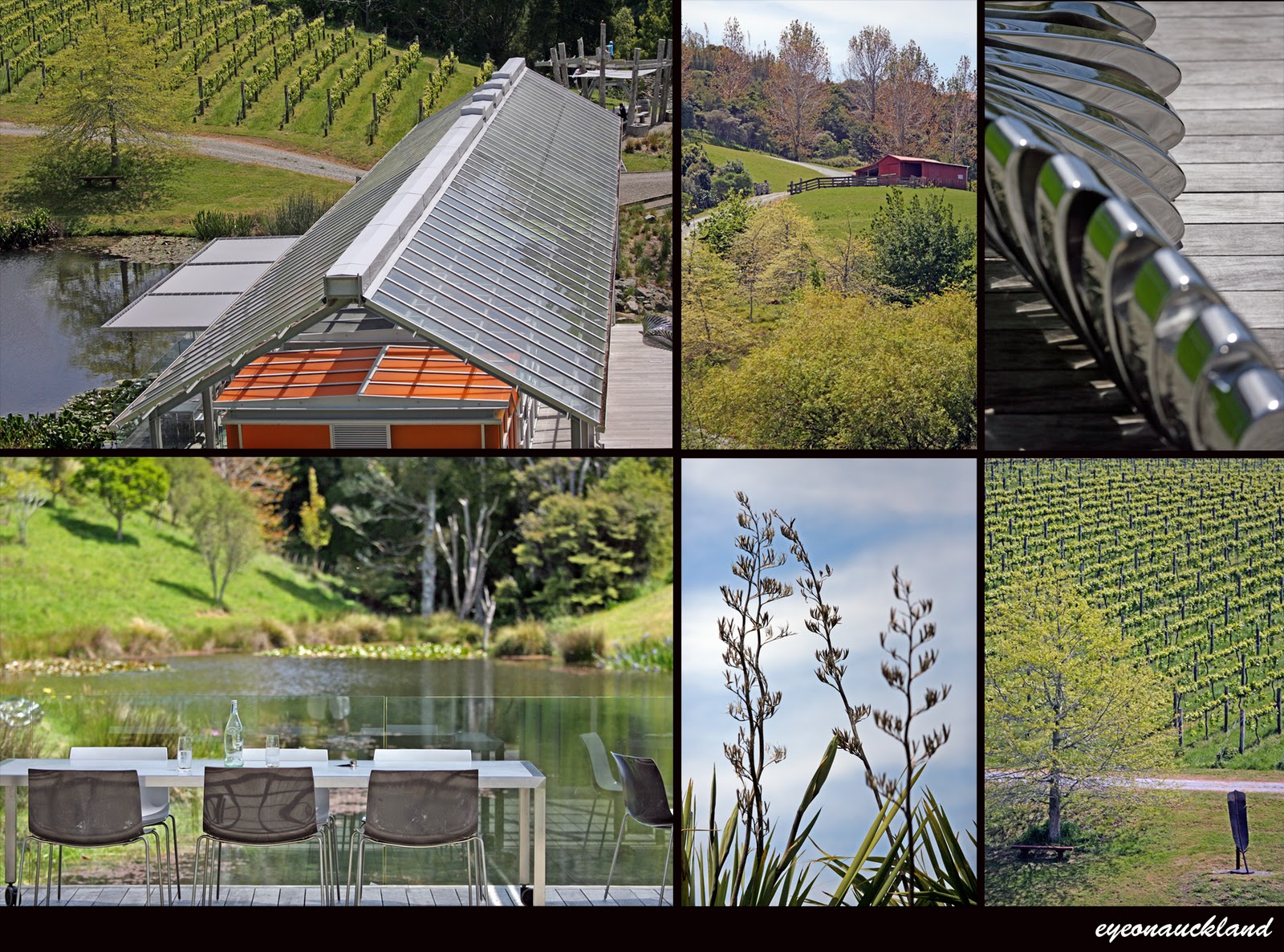 Eye on Auckland [EVENT] + BRICK BAY VINEYARD + SCULPTURE TRAIL