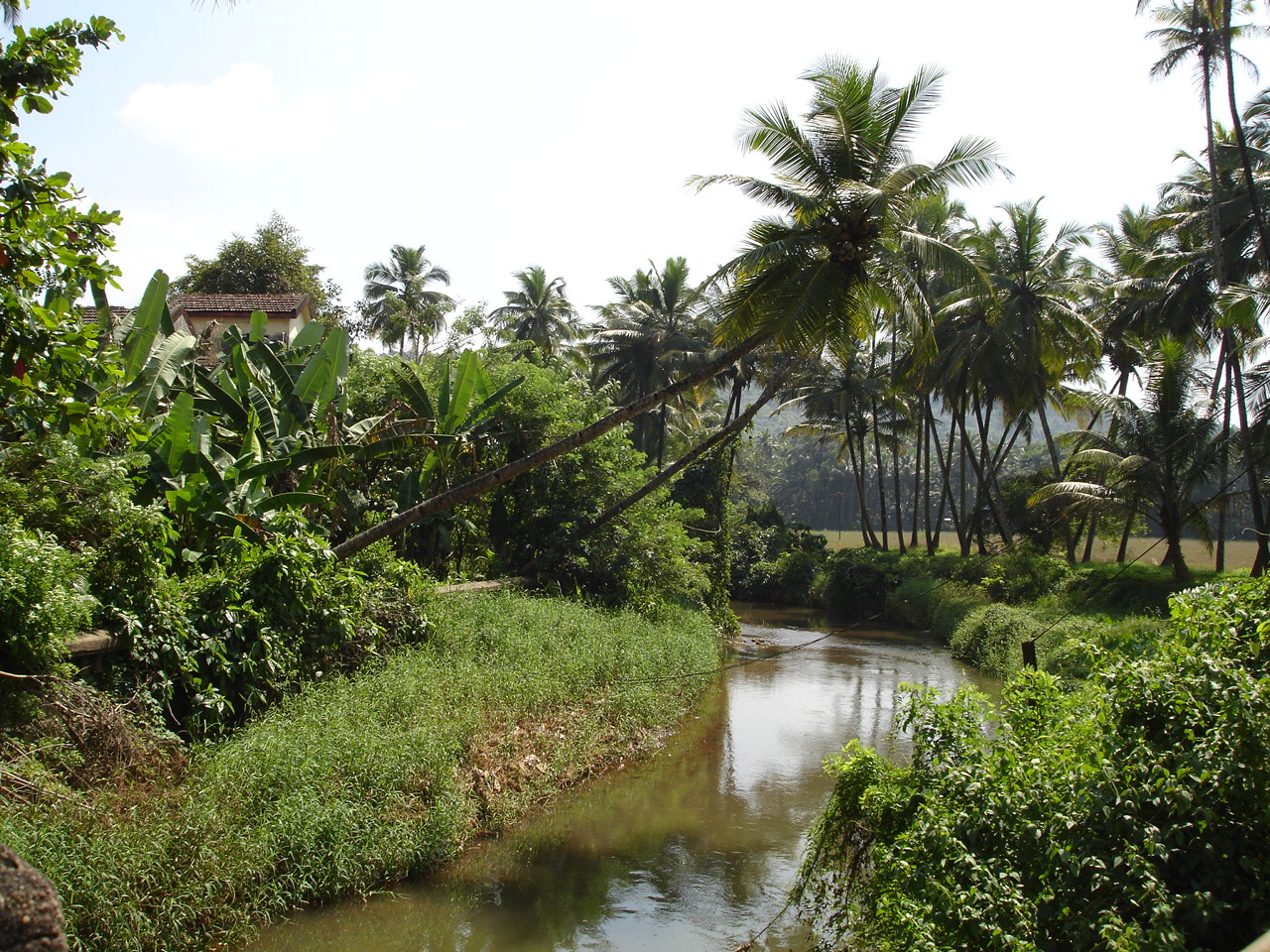 Atreya Rocks: India: Goa: The Charm of South Goa