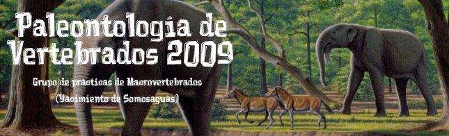 Paleontología de Vertebrados 2009