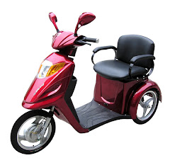 Mobility Trike $1990