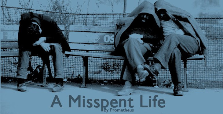 A Misspent Life