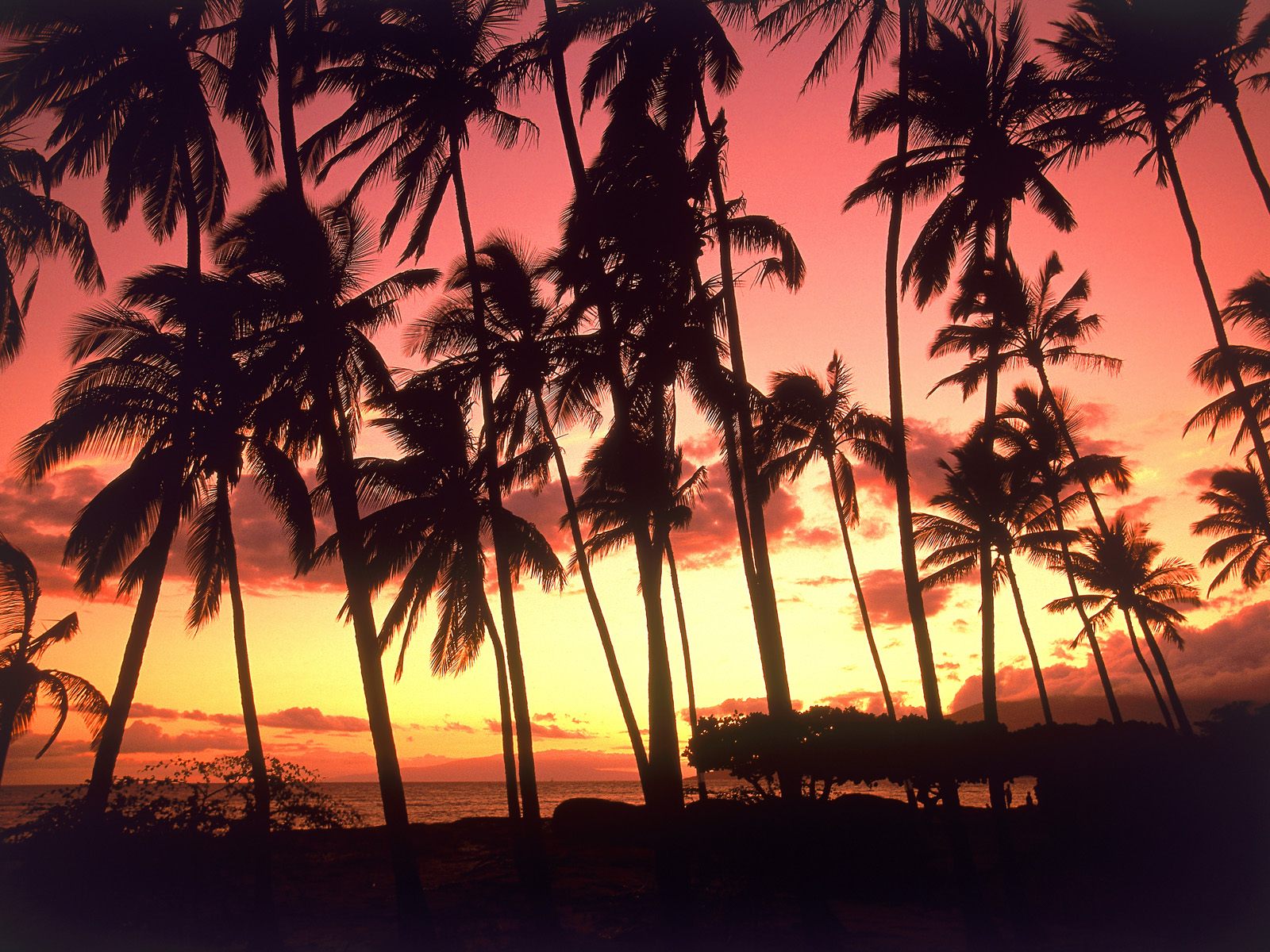 Discount+Hawaiian+Travel+Packages+7.jpg