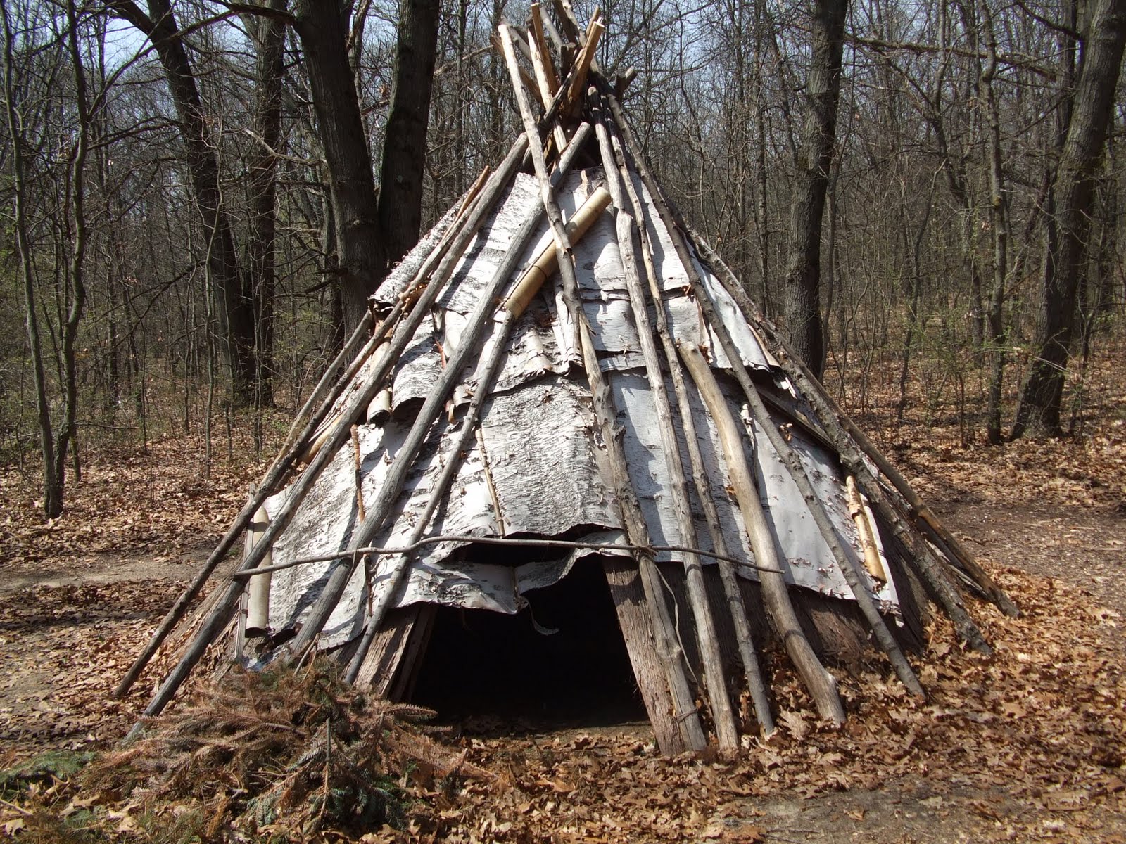 Bens Backwoods Goodwillie Voyager Birch Bark Canoe Build part 1