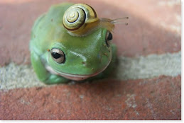 Frog and snail