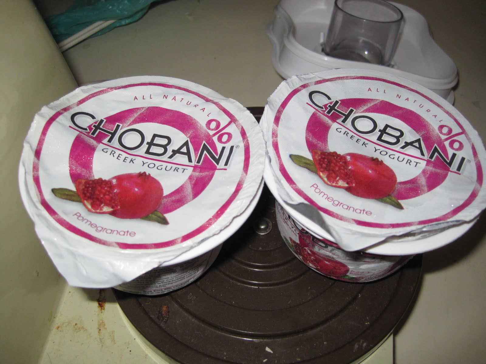 Tara Tastes the World Homemade Frozen Yogurt (Without a Machine)