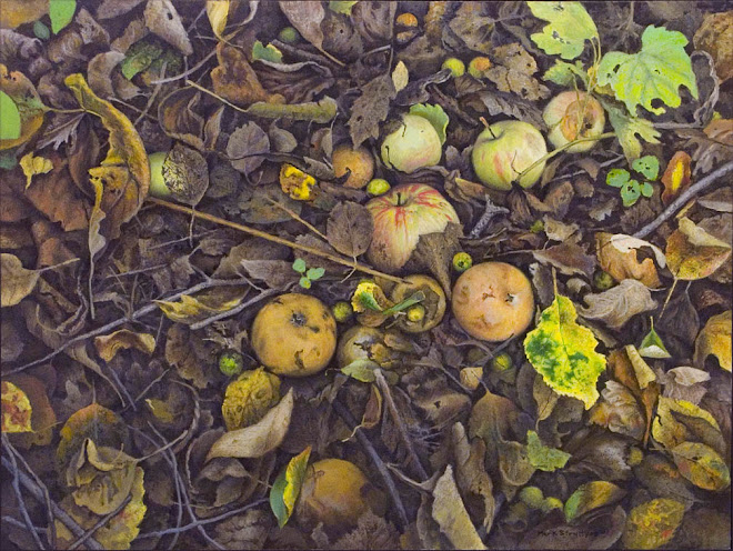 Wild Orchard , Royal Botanical Garden's, Hamilton Ontario.