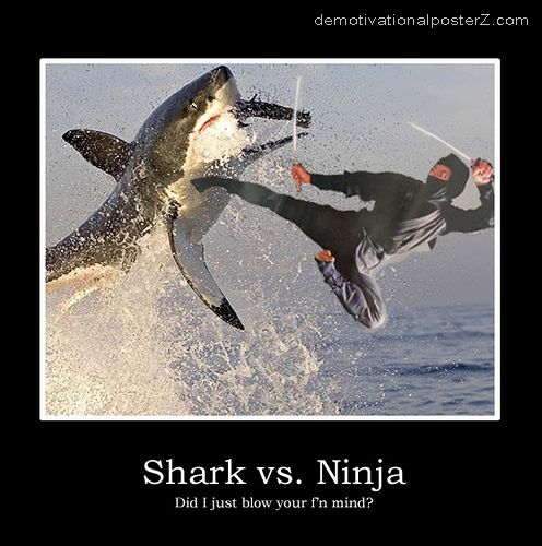 shark vs ninja motivational poster