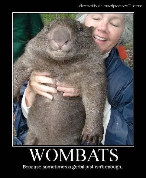 holding a wombat
