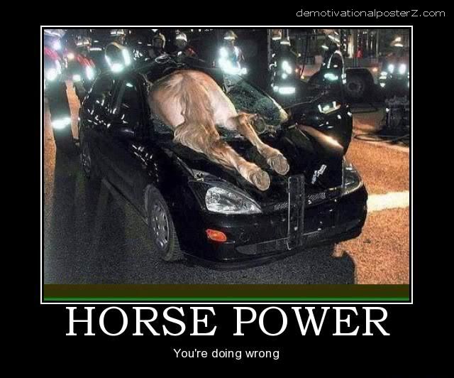 HORSE POWER - YOU'RE DOING IT WRONG
