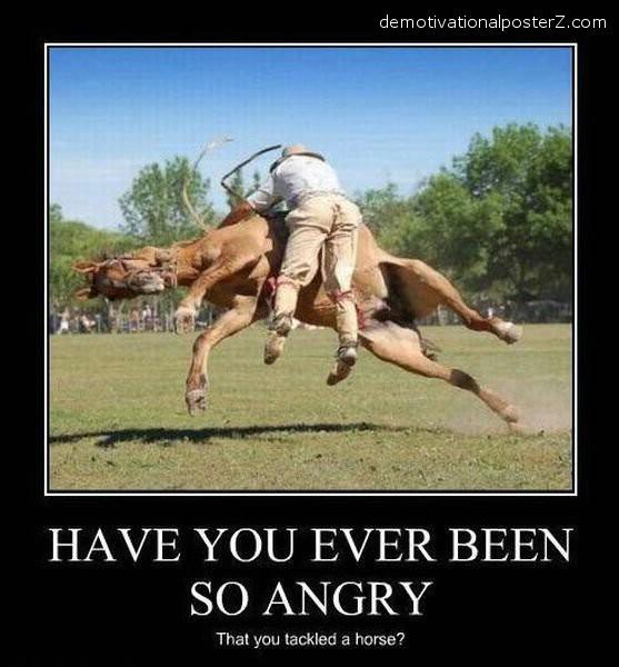 ever been so angry u tackled a horse demotivator
