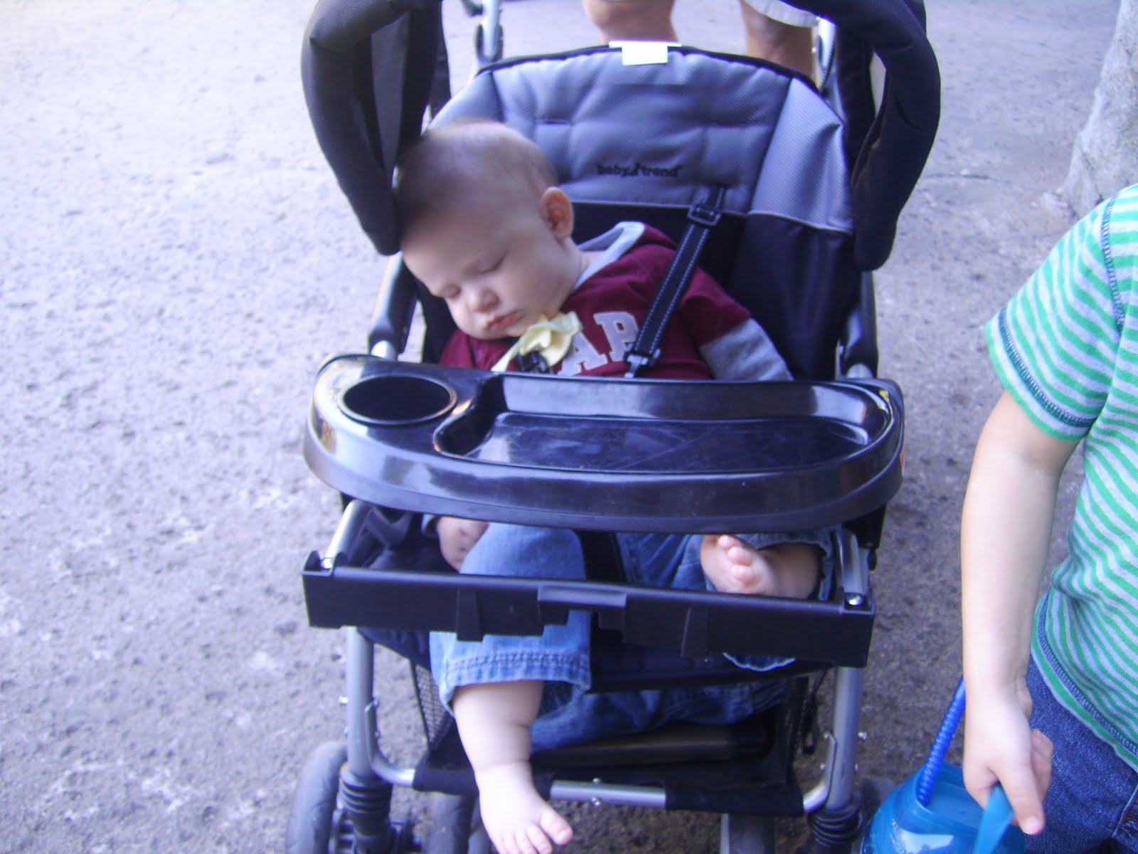 The Grunwaldt Family Columbus Zoo trip