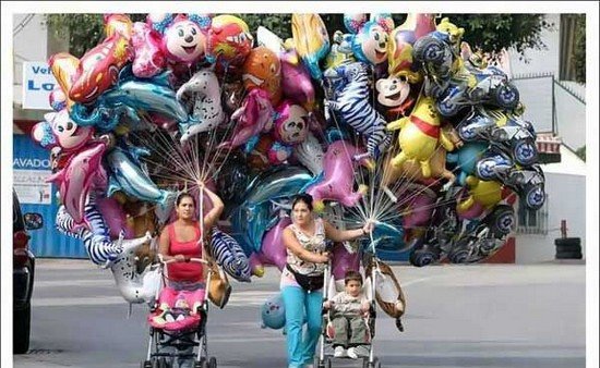 [funny-pictures-8308.jpg]