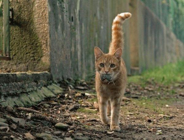 [knuttz_ueba_25.jpg]