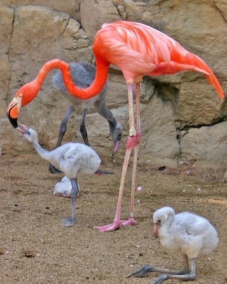 [funny-pictures-26652.jpg]