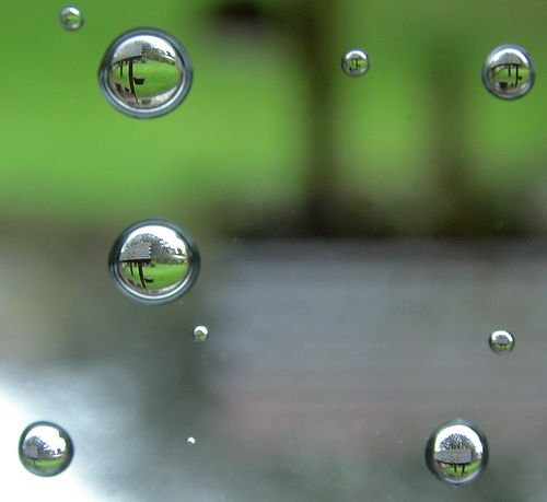 [7727513_30a95ce03b.jpg]