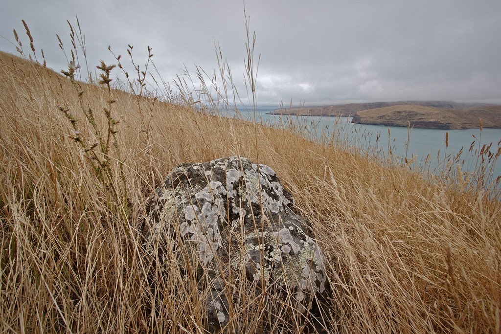 Lyttelton harbour is a drowned caldera.