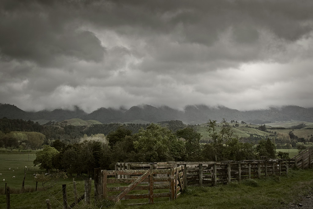 Stock yards, Pohangina valley