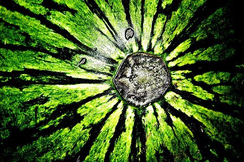 [1112848218_6b22c09da1.jpg]