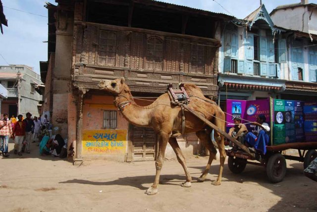 [phoca_thumb_l_Astronomy-on-CamelCart-in-Villages.JPG]
