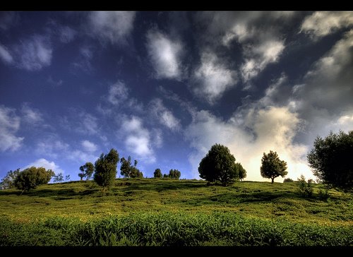 [3257894610_9e3499bde2.jpg]