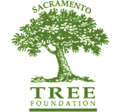 [sactreefoundation.gif]