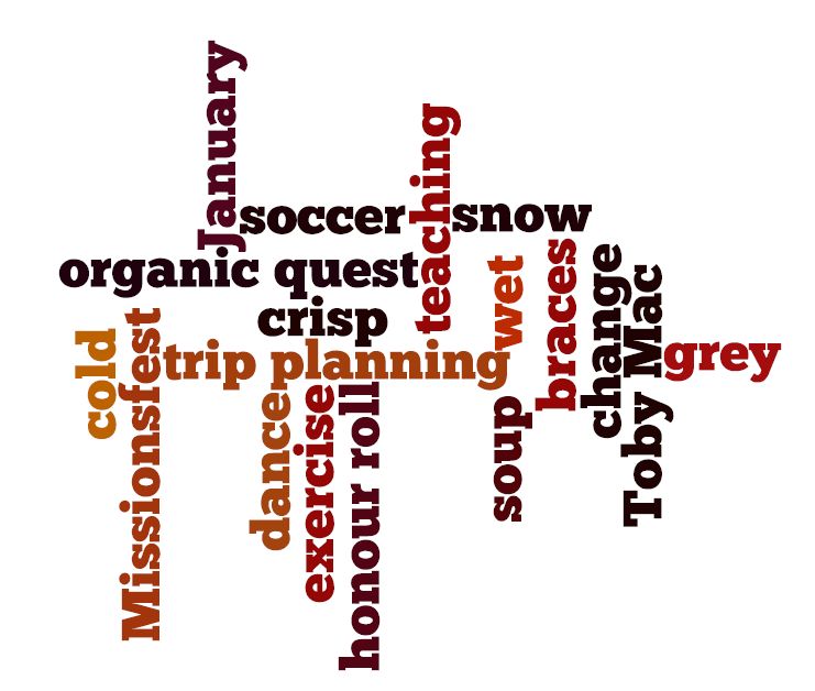 Nicky's Space January Wordle
