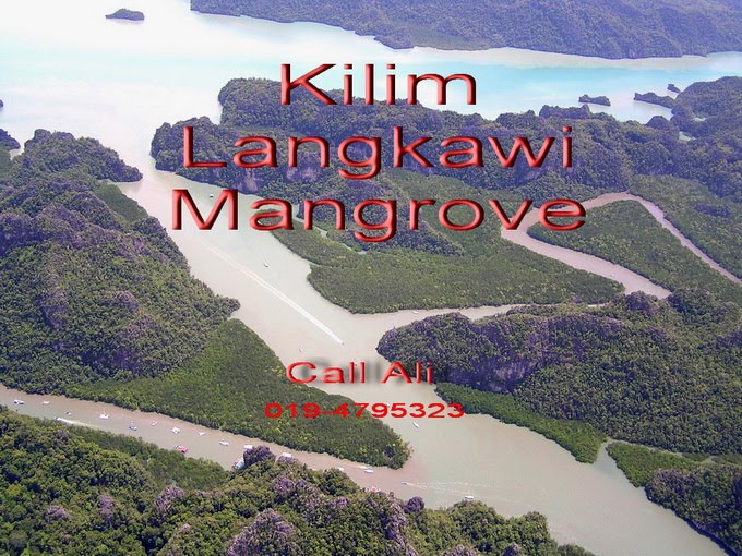 Kilim Langkawi Geopark Boat Service