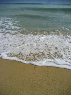 嵵裡海灘