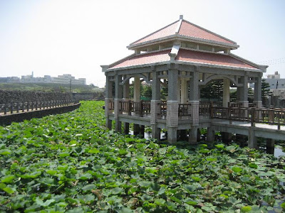 湖西蓮花池