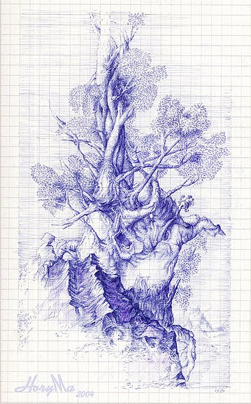 tukenmez kalem cizimleri