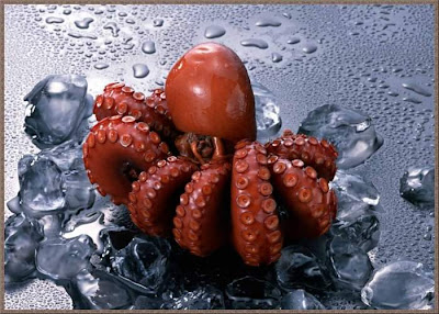 40 Beautiful ocean fresh seafood Pics | Curious, Funny Photos / Pictures