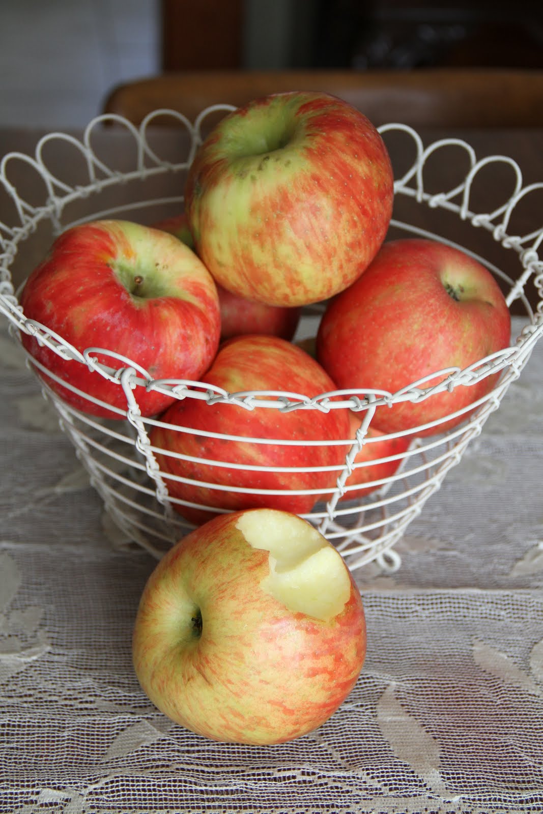 Mother Rabbit eat honeycrisp apples.