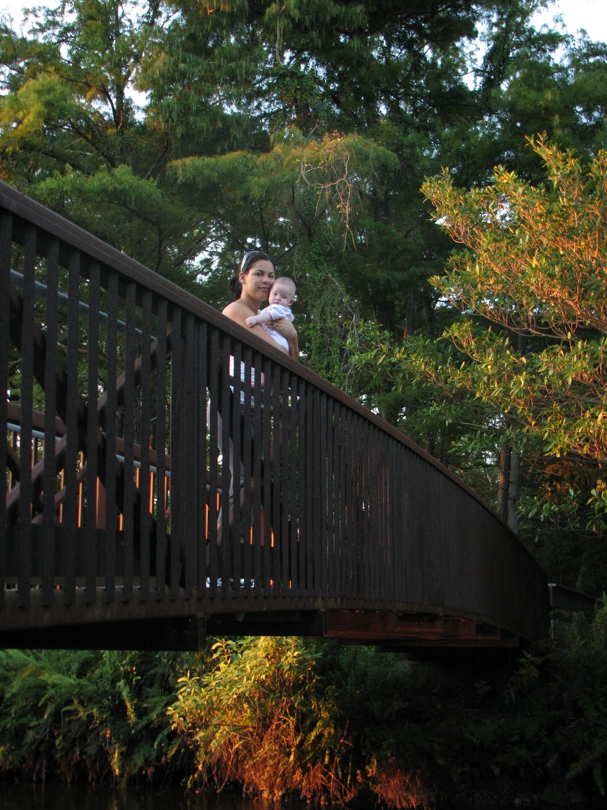 Orchid Park Coral Springs