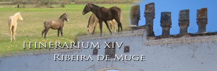 Itinerarium XIV - Ribeira de Muge