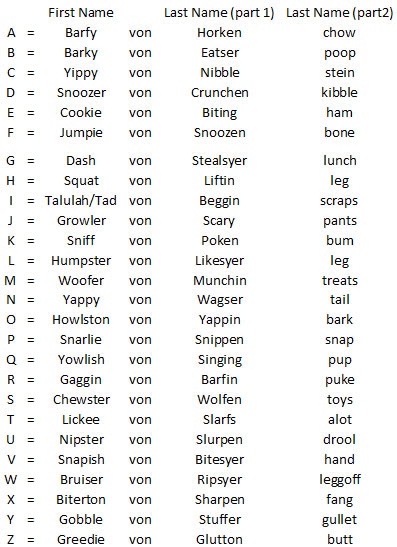 Critical Mass Silly Dog Names critical-mass-silly-dog-names