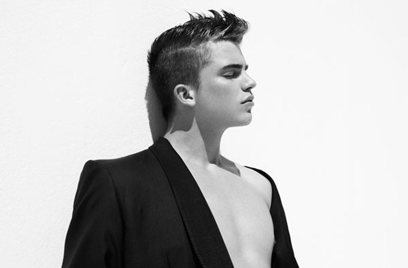 Rene wellek sven eric molin essay 04 picture