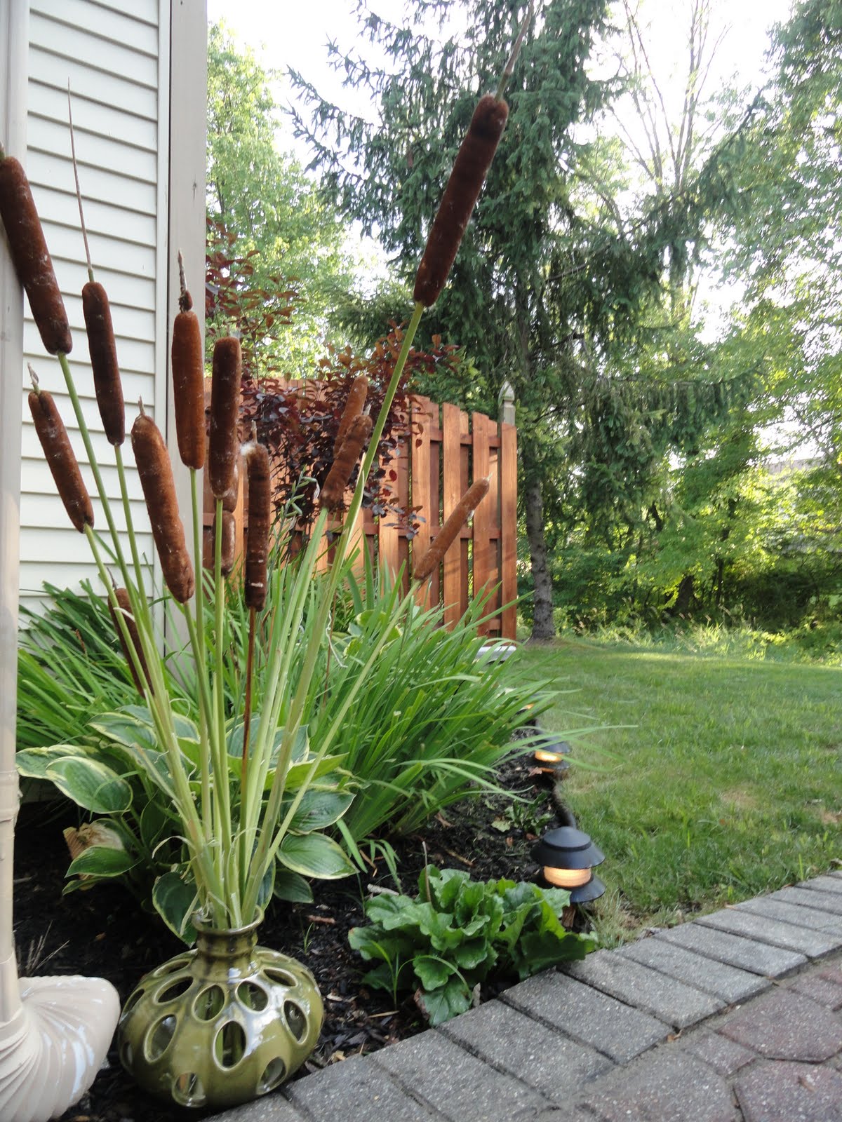 first home makeover Crazy for Cattails (Typha)