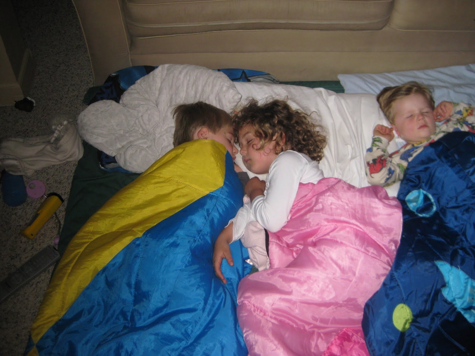 TriadSmartyPants SleepOvers How Do You Ensure Success?