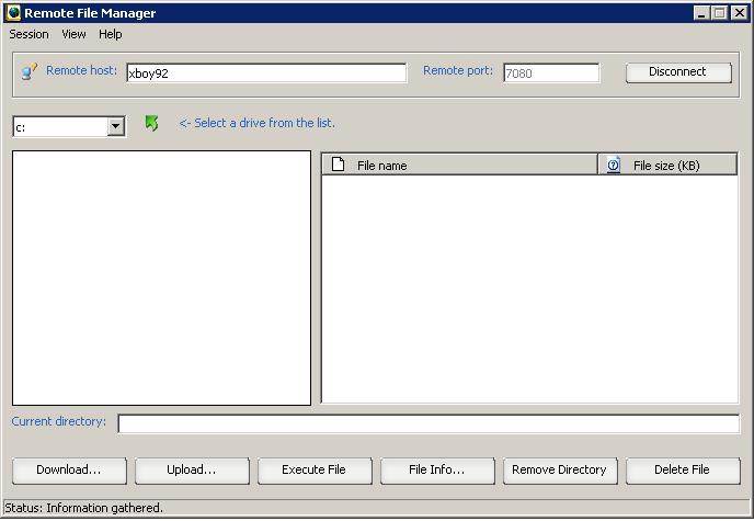 Remote File Manager