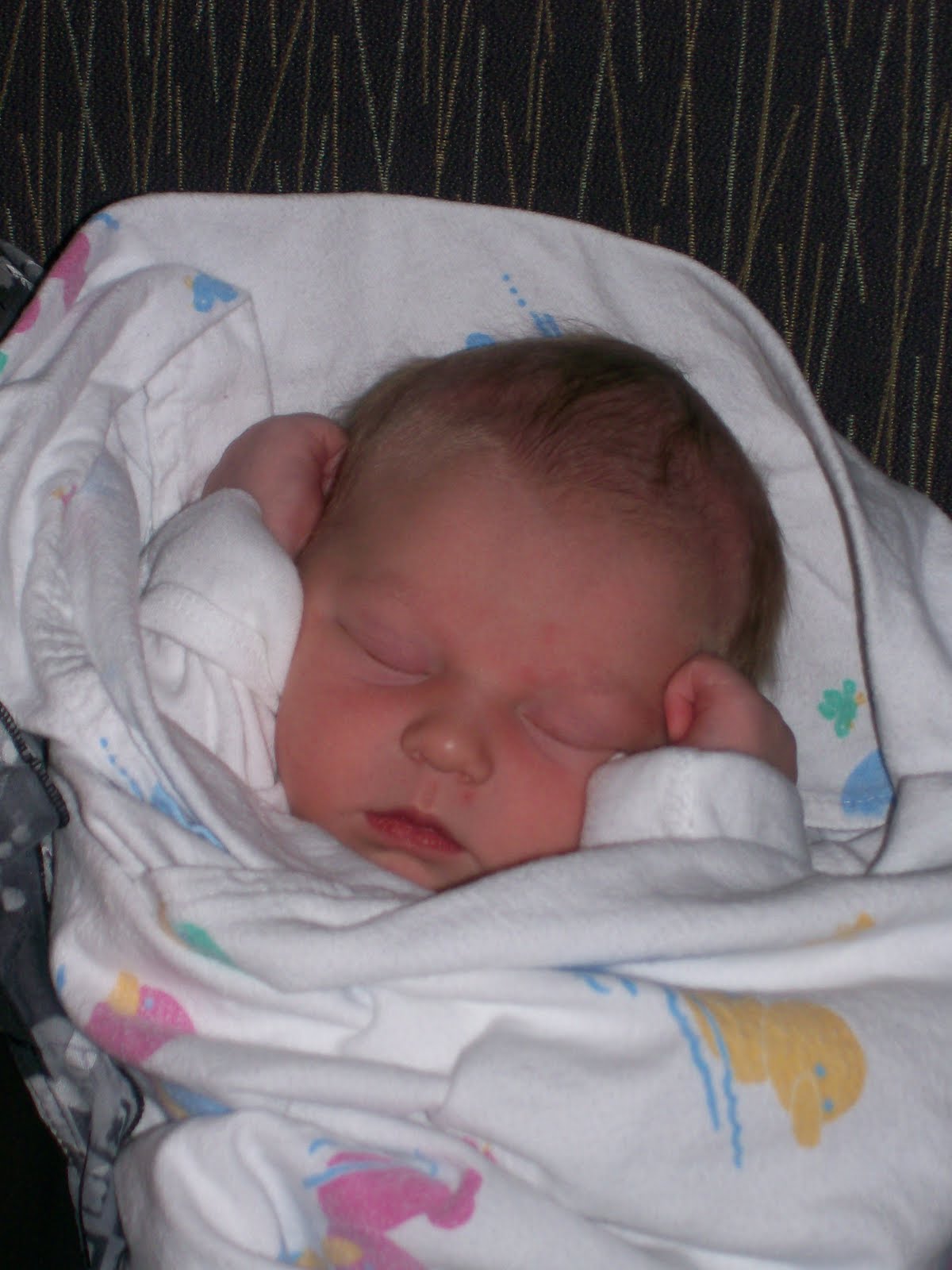 [aiden+068.JPG]