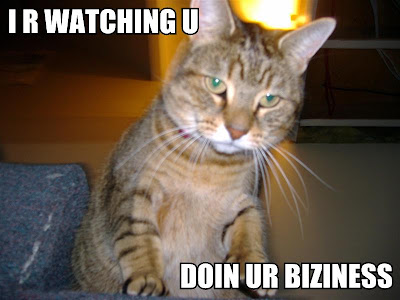 lolcat18.jpg