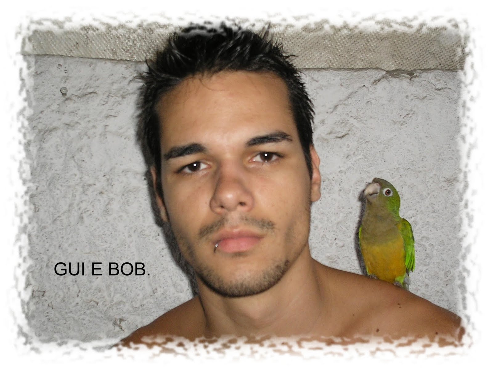 Amando, vivendo e aprendendo: MEU BRASIL