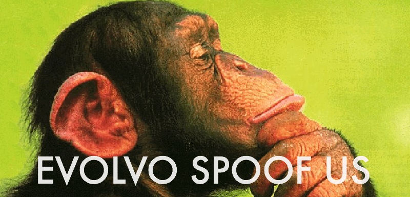Evolvo Spoof Us