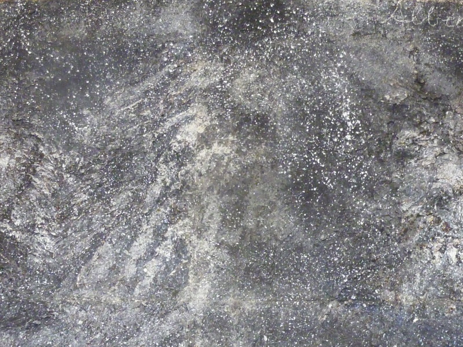 la marche aux pages > Lecture en zone d'ombre, Méridien de sang.