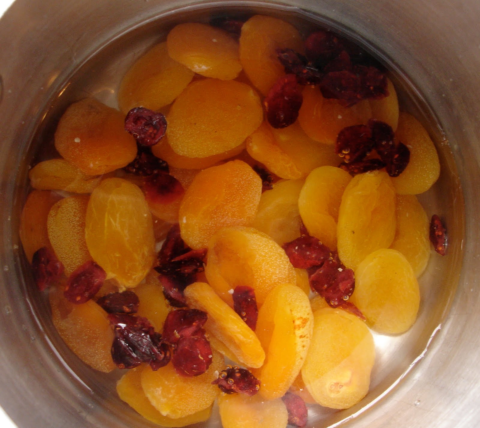 From Which Things Grow Chew on This Homemade Apricot Fruit Roll Ups