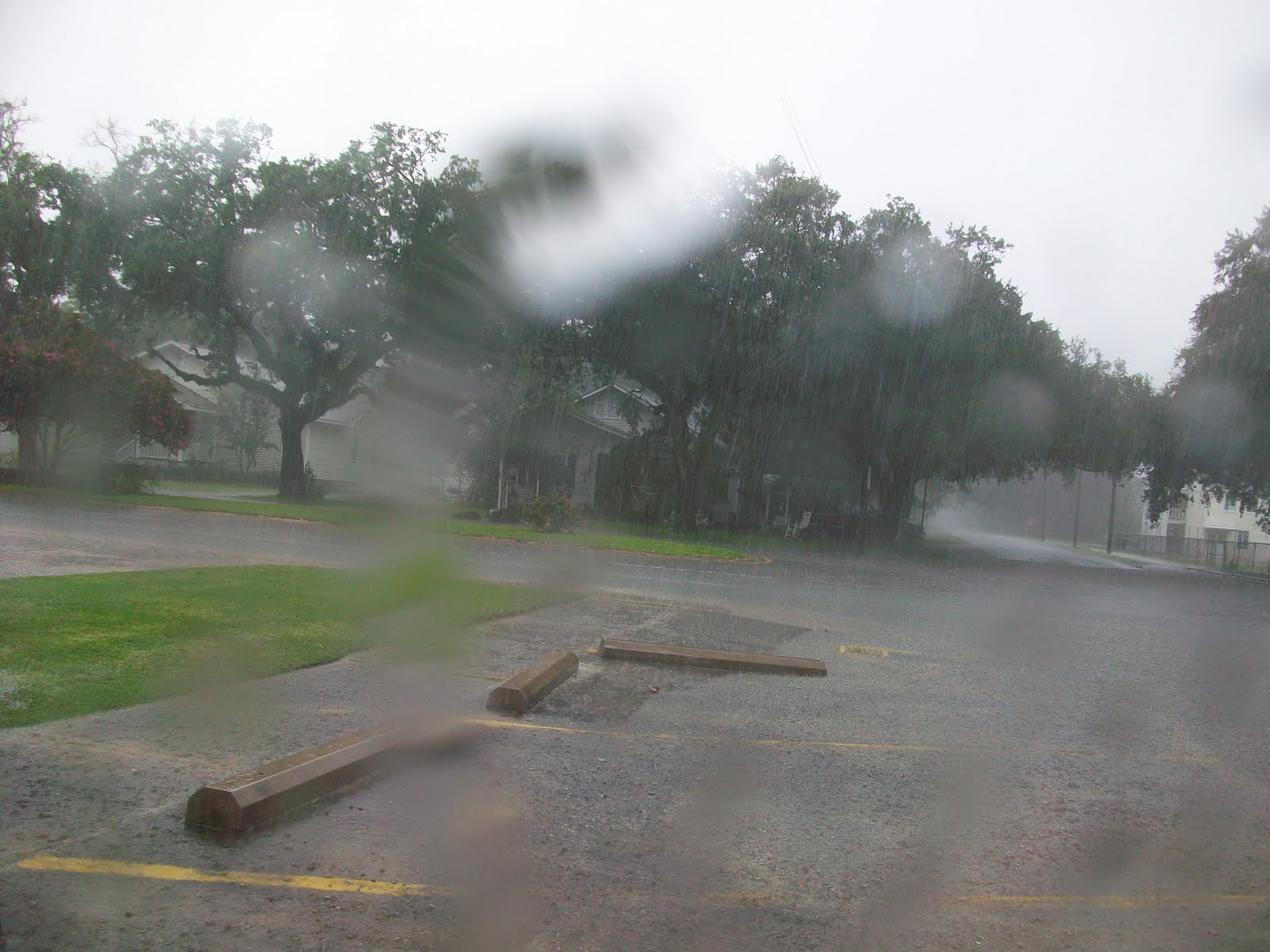 Angie Kay Dilmore Gueydan Duck Festival