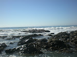 Cambria, by the sea