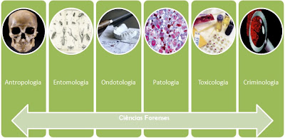 Ciências Forenses: Áreas da Ciência Forense