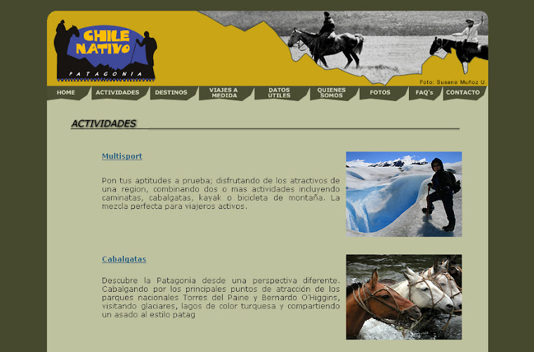 pagina web chilenativo.com